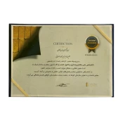 artboard 6
