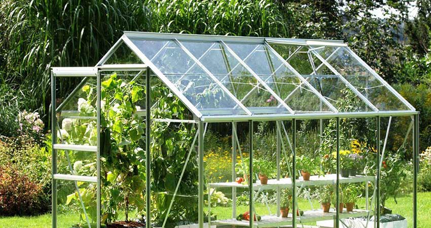 در چه مکان هایی می توان گلخانه شیشه ای راه اندازی کرد؟